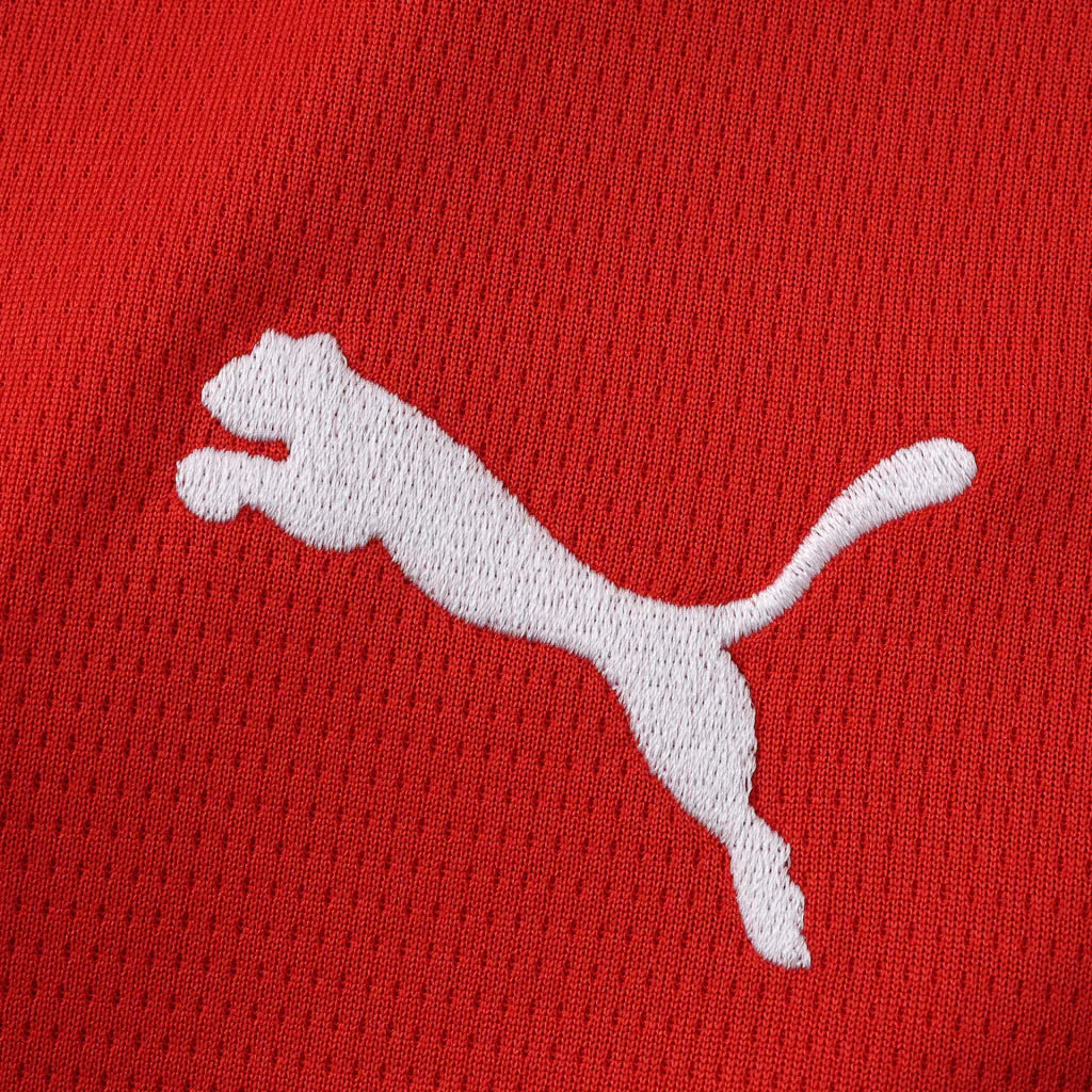 Camiseta Selección de Áustria principal roja - Copa del Mundo 2026