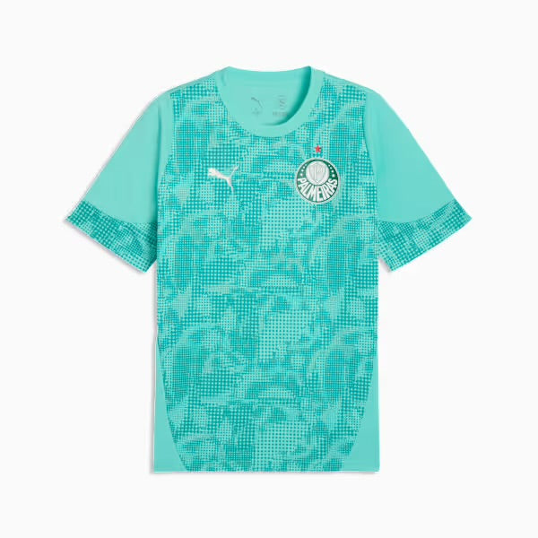 Camiseta Palmeiras entrenamiento - azul 2026