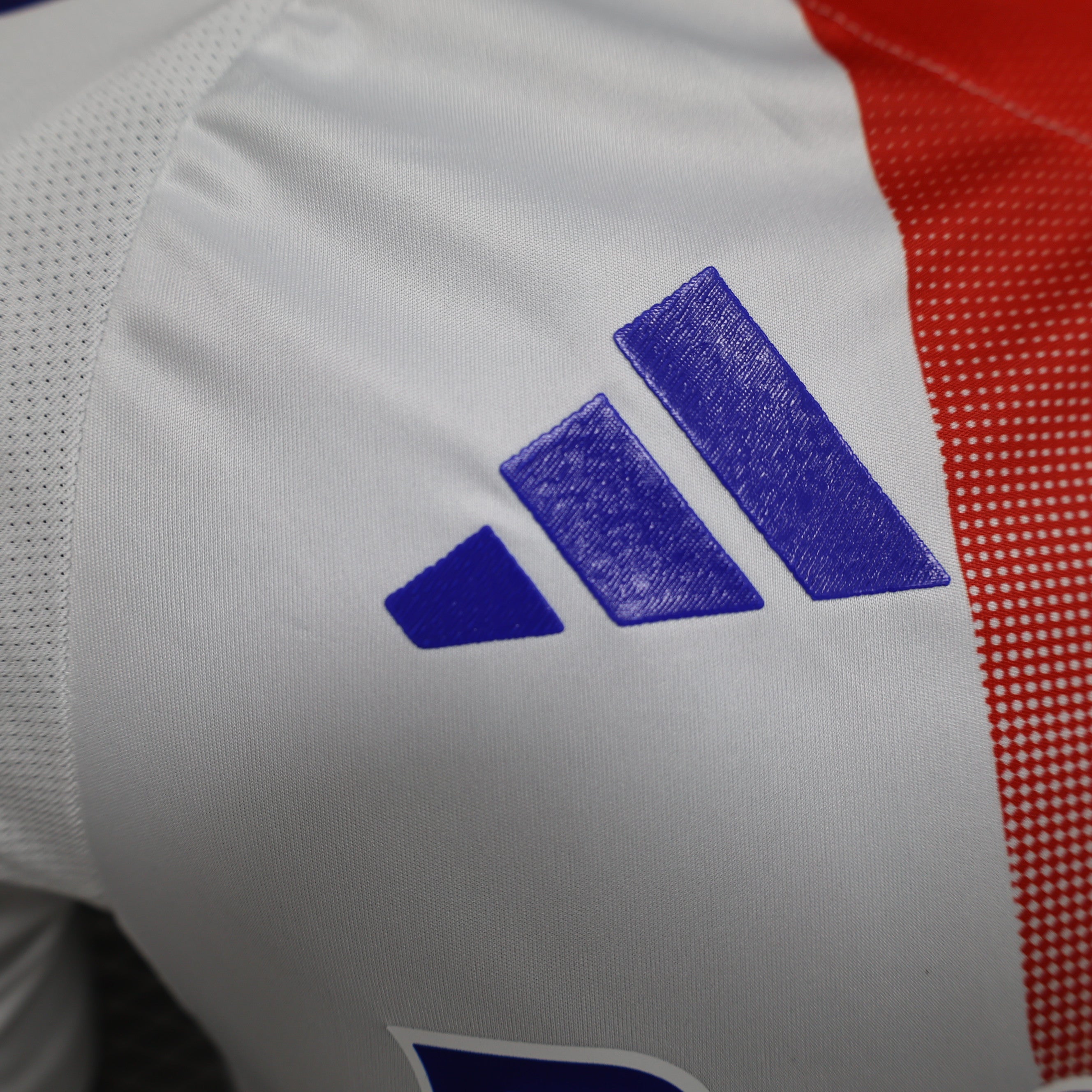 Camiseta Olympique Lyonnais Local 2024/25 PLAYER