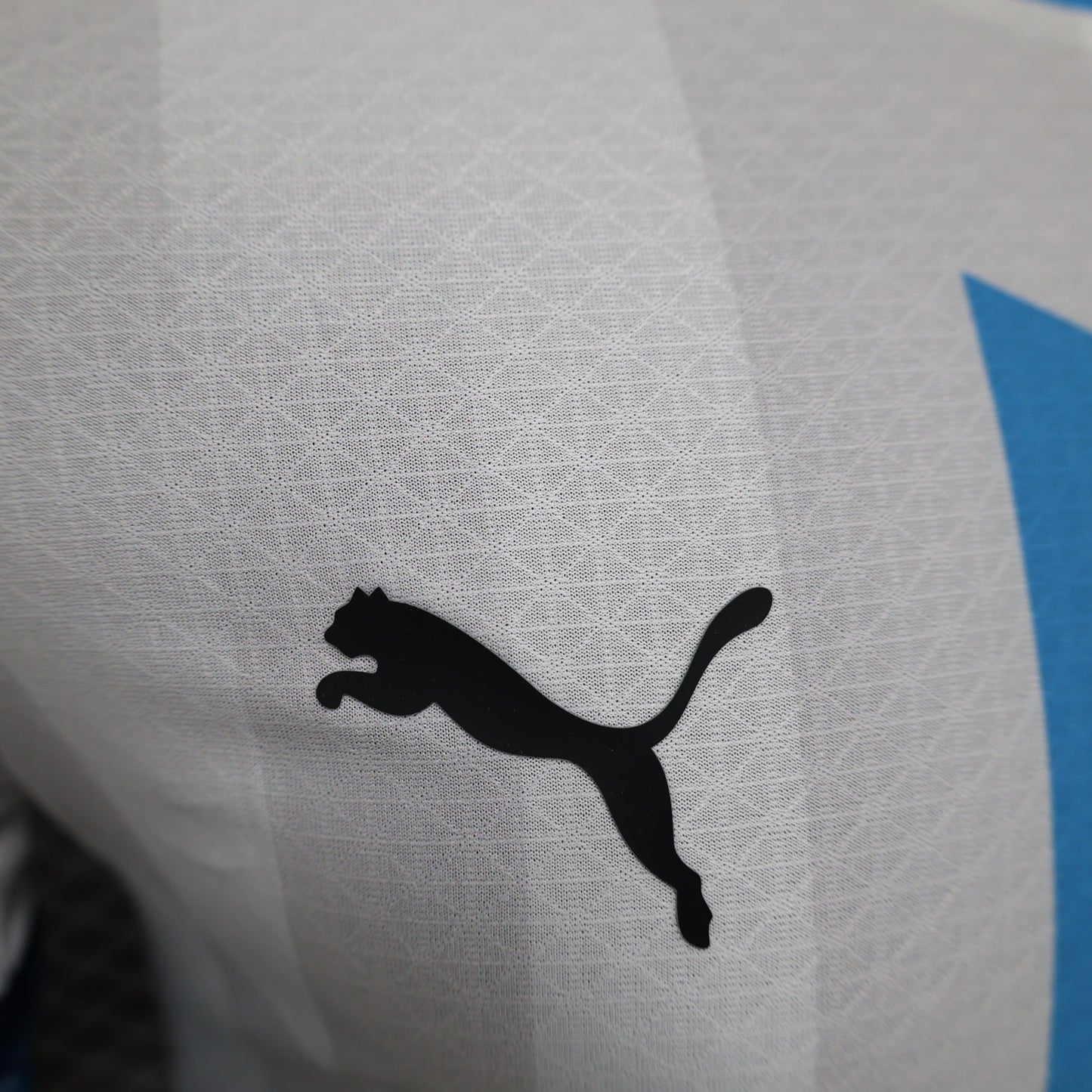 Camiseta Olympique de Marseille Home 2024/25 PLAYER