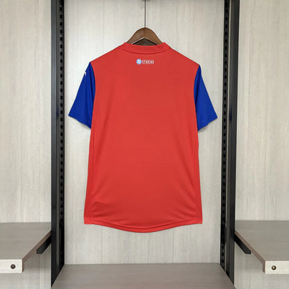 Camiseta EC Bahia Super Man 2025/26