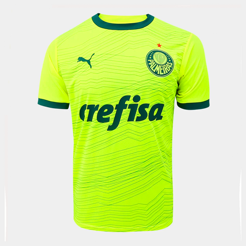 Camiseta Palmeiras third 2023/24