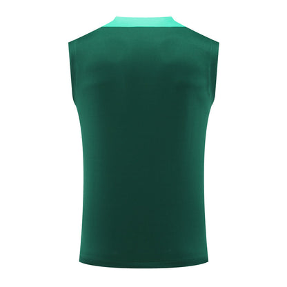Camiseta Portugal entrenamiento 2024/25 regata