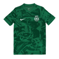 Camiseta pre-partido verde 2025/26
