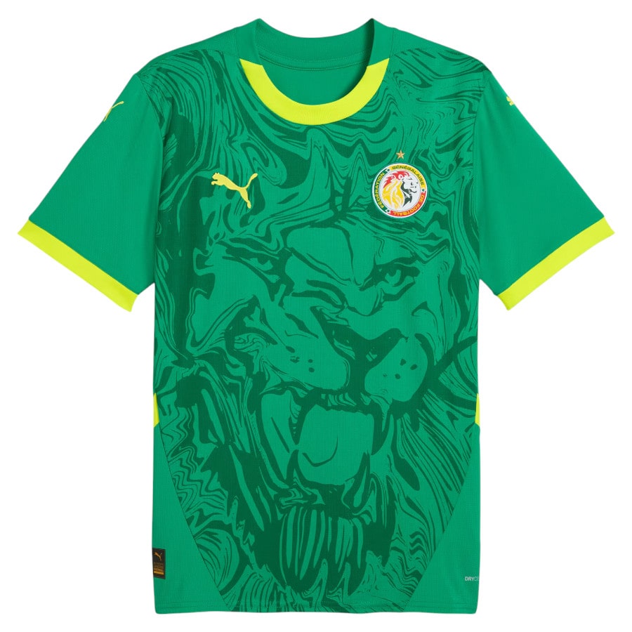 Camiseta Senegal alternativa 2024/25