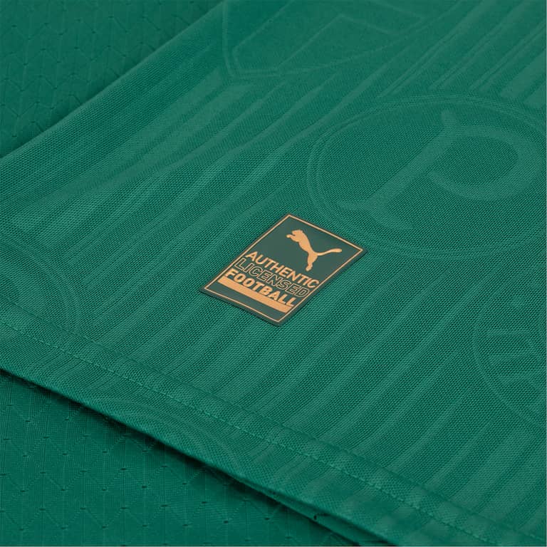 Camiseta Palmeiras Verde Home 2024/25
