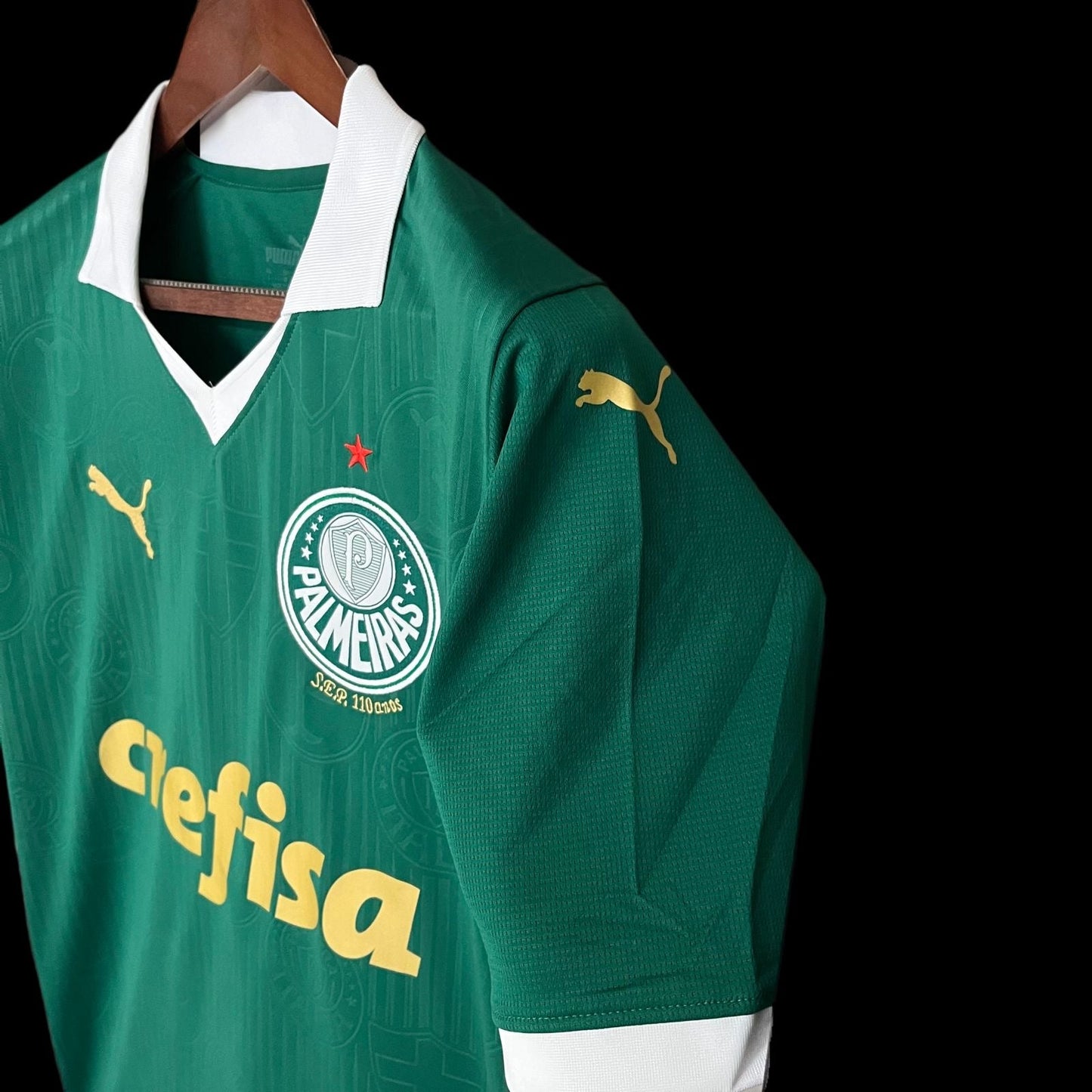 Camiseta Palmeiras Verde Home 2024/25