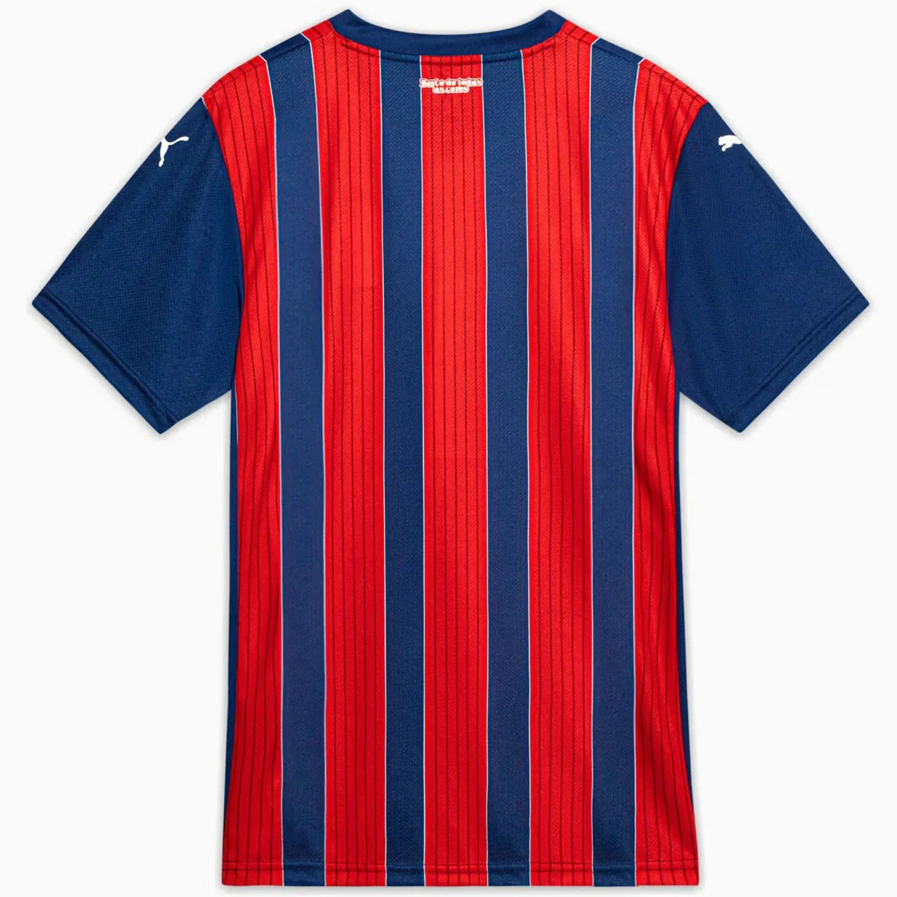 Camiseta EC Bahia Alternativa 2025/26