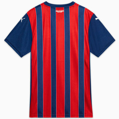 Camiseta EC Bahia Alternativa 2025/26