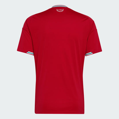 Camiseta Selección País de Gales principal roja - Copa del Mundo 2026
