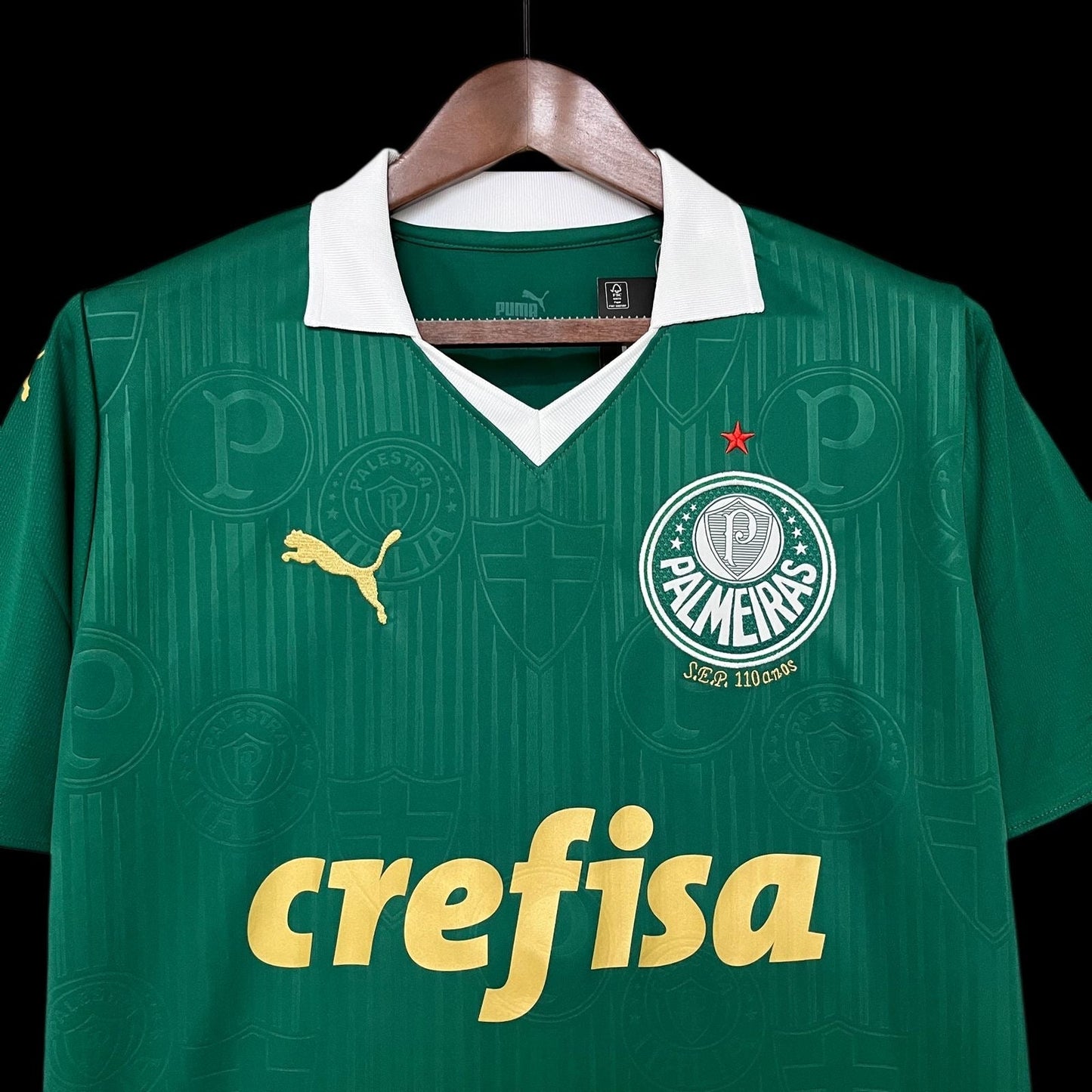 Camiseta Palmeiras Verde Home 2024/25