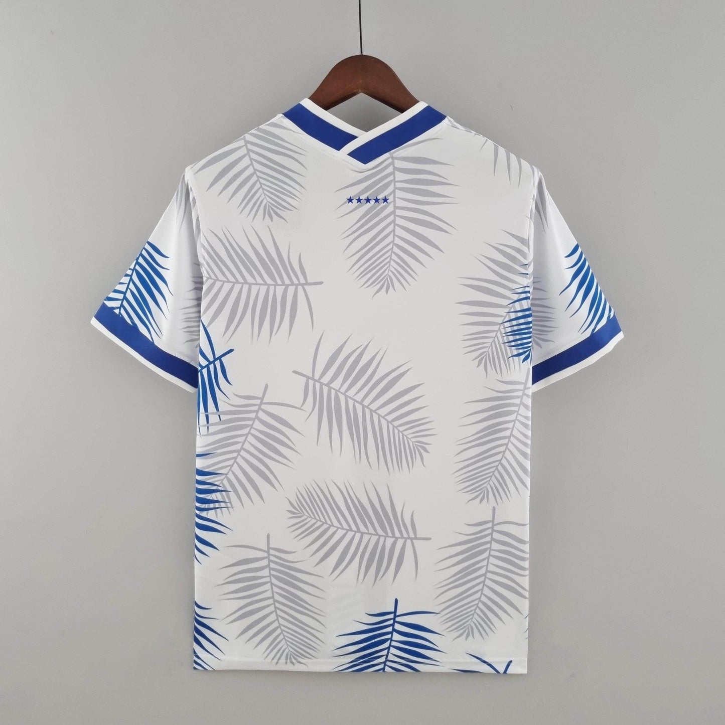 Camiseta Selección Brasil 2022/22 Edición Limitada Blanca