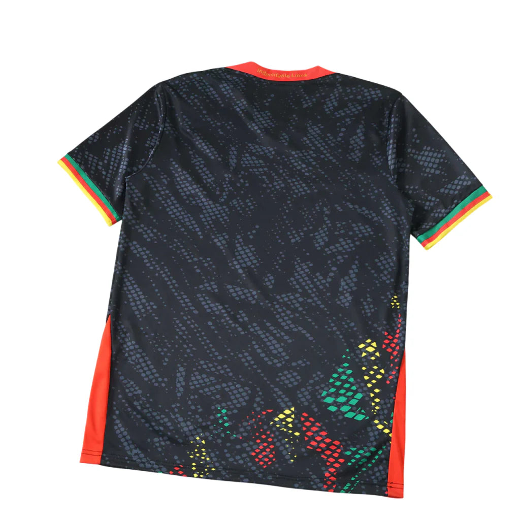 Camiseta Selección de Camerún alternativa verde/negra - Copa del Mundo 2026