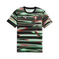Camiseta Selección de Portugal aquecimento 2025