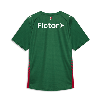 Camiseta Palmeiras verde principal 2026/27