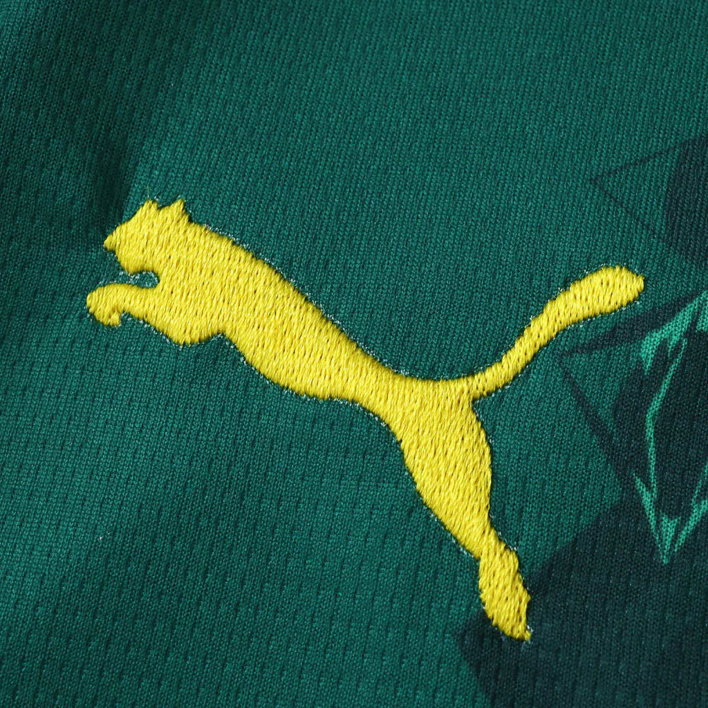 Camiseta Selección de Senegal alternativa verde - Copa del Mundo 2026
