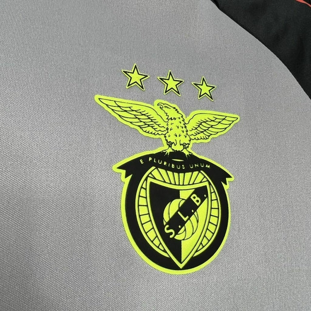 Camiseta treinamento gris 2024/25