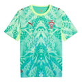 Camiseta Selección de Portugal Portero Aquatic verde - COPA DEL MUNDO 2026