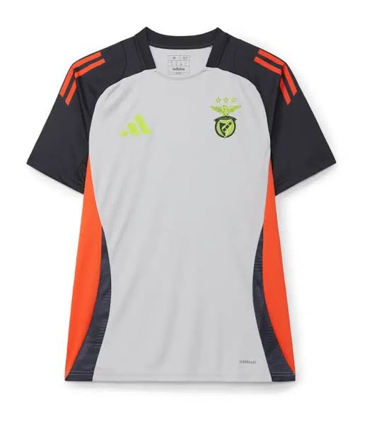 Camiseta entrenamiento gris 2024/25