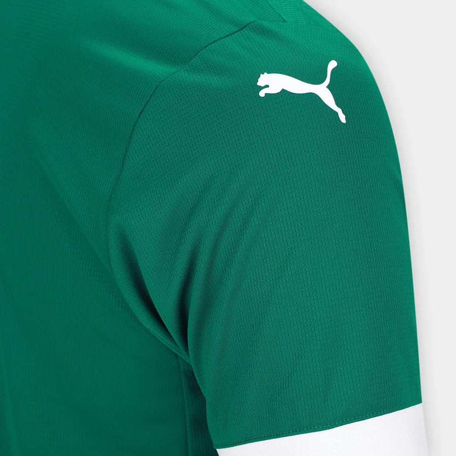 Camiseta Palmeiras Verde Home 2025/26