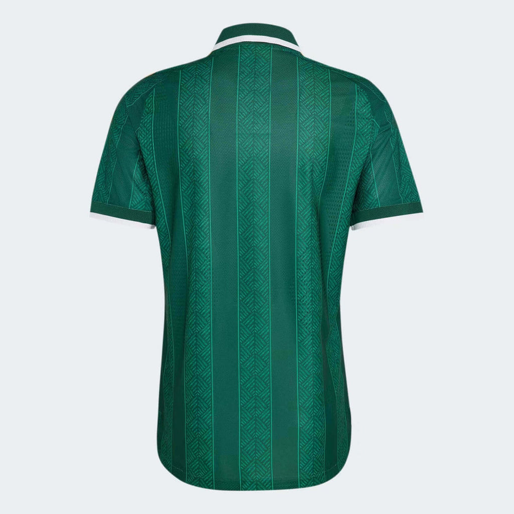 Camiseta Selección de África do Sul alternativa verde - Copa del Mundo 2026