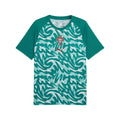 Camiseta Portugal pre-partido ll 2026/27 - verde