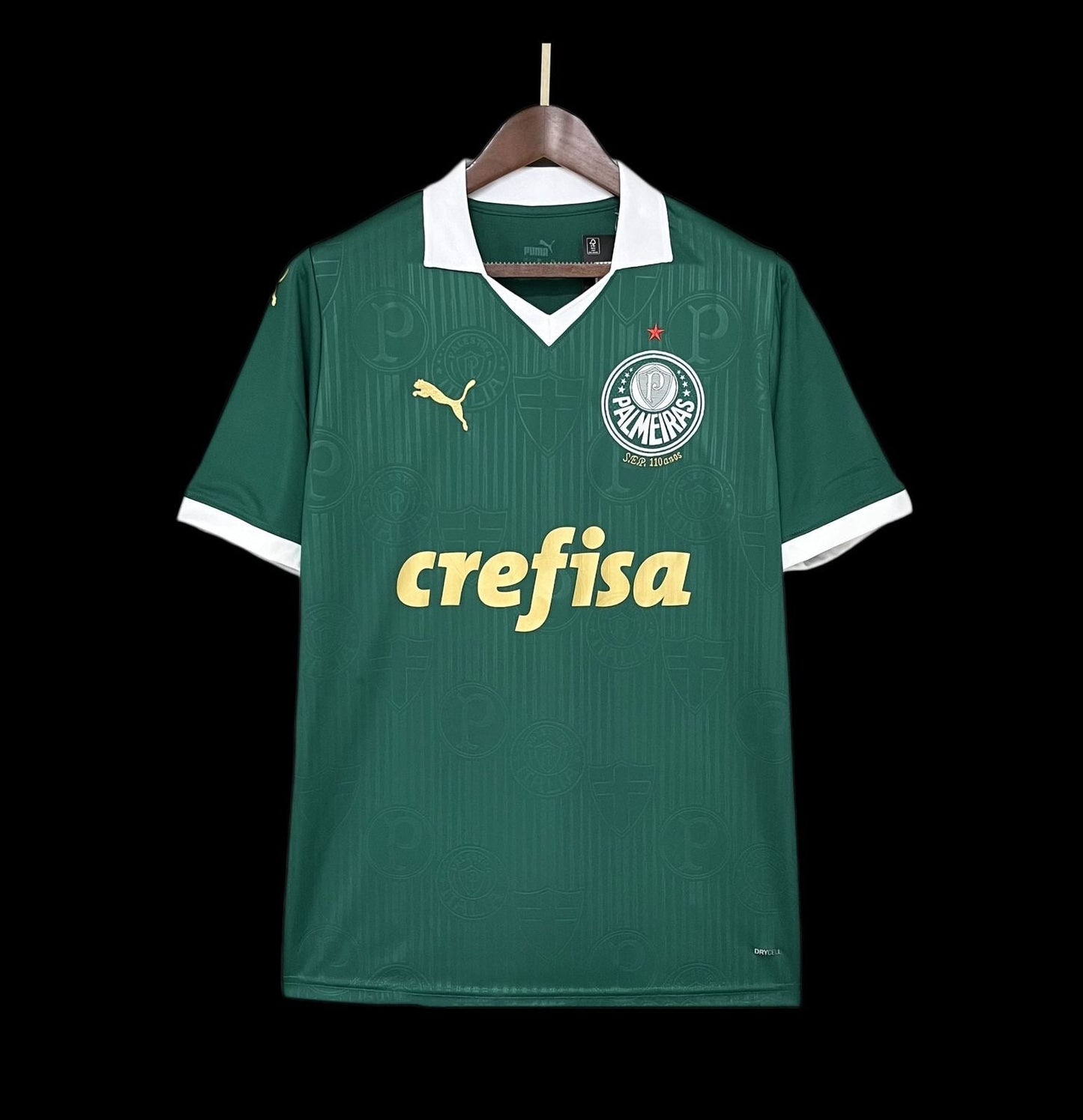 Camiseta Palmeiras Verde Home 2024/25