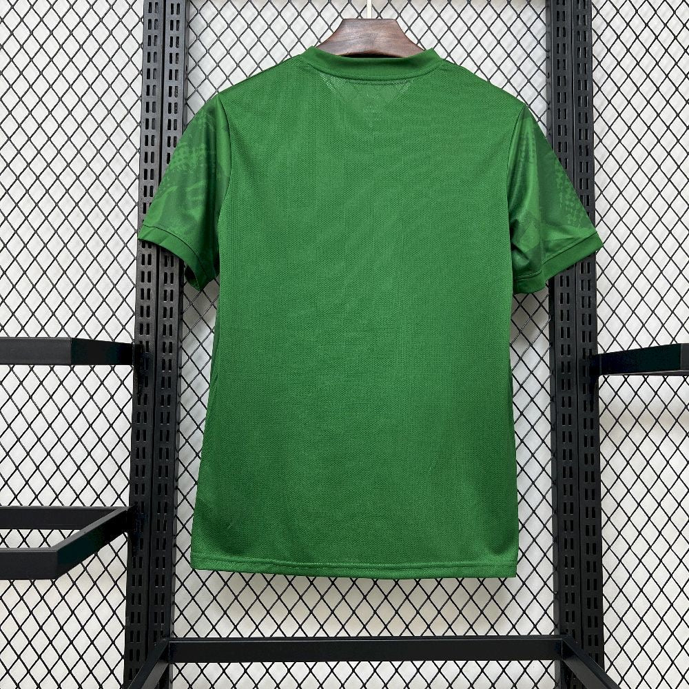 Camiseta pre-partido verde 2025/26