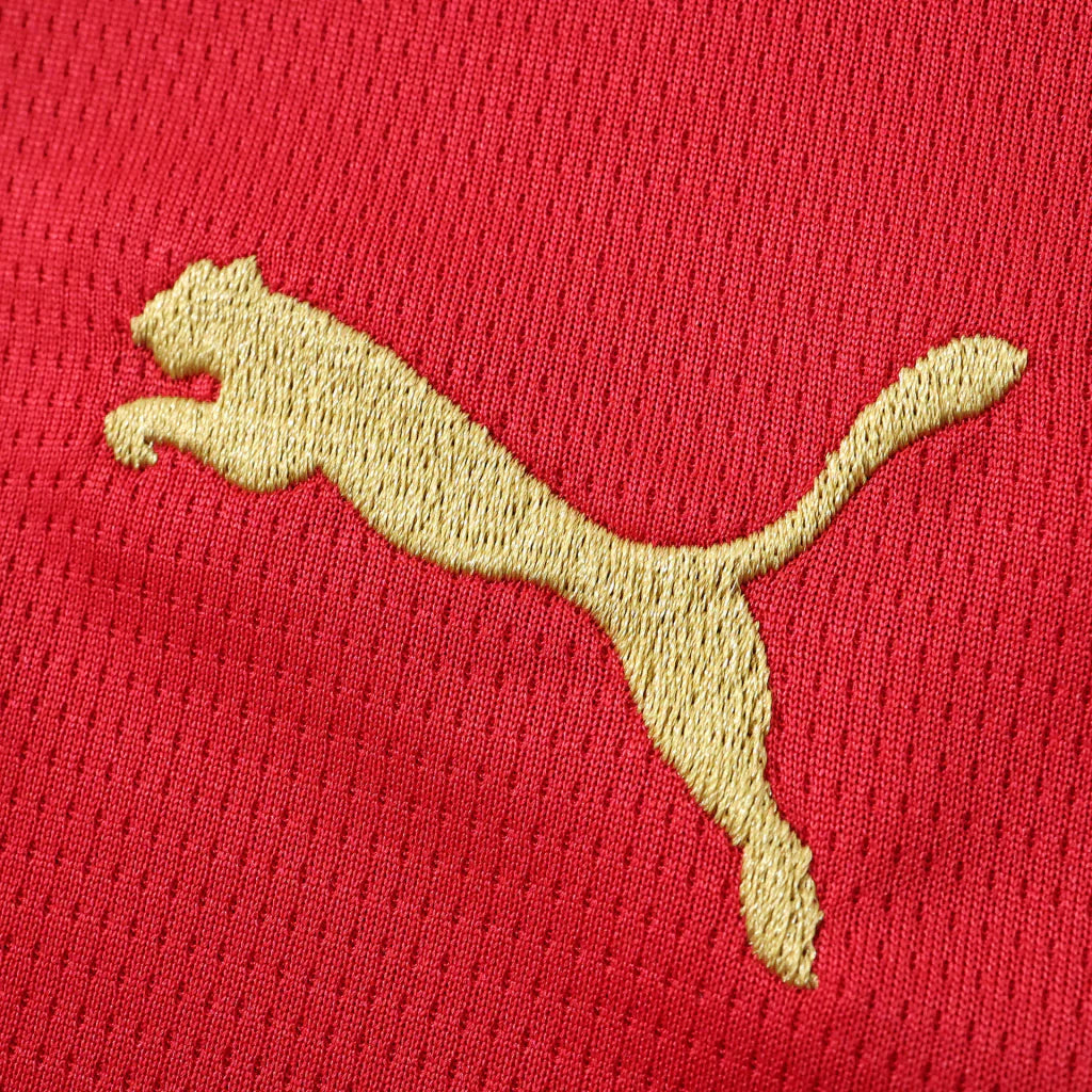 Camiseta Selección de Marruecos principal roja - Copa del Mundo 2026