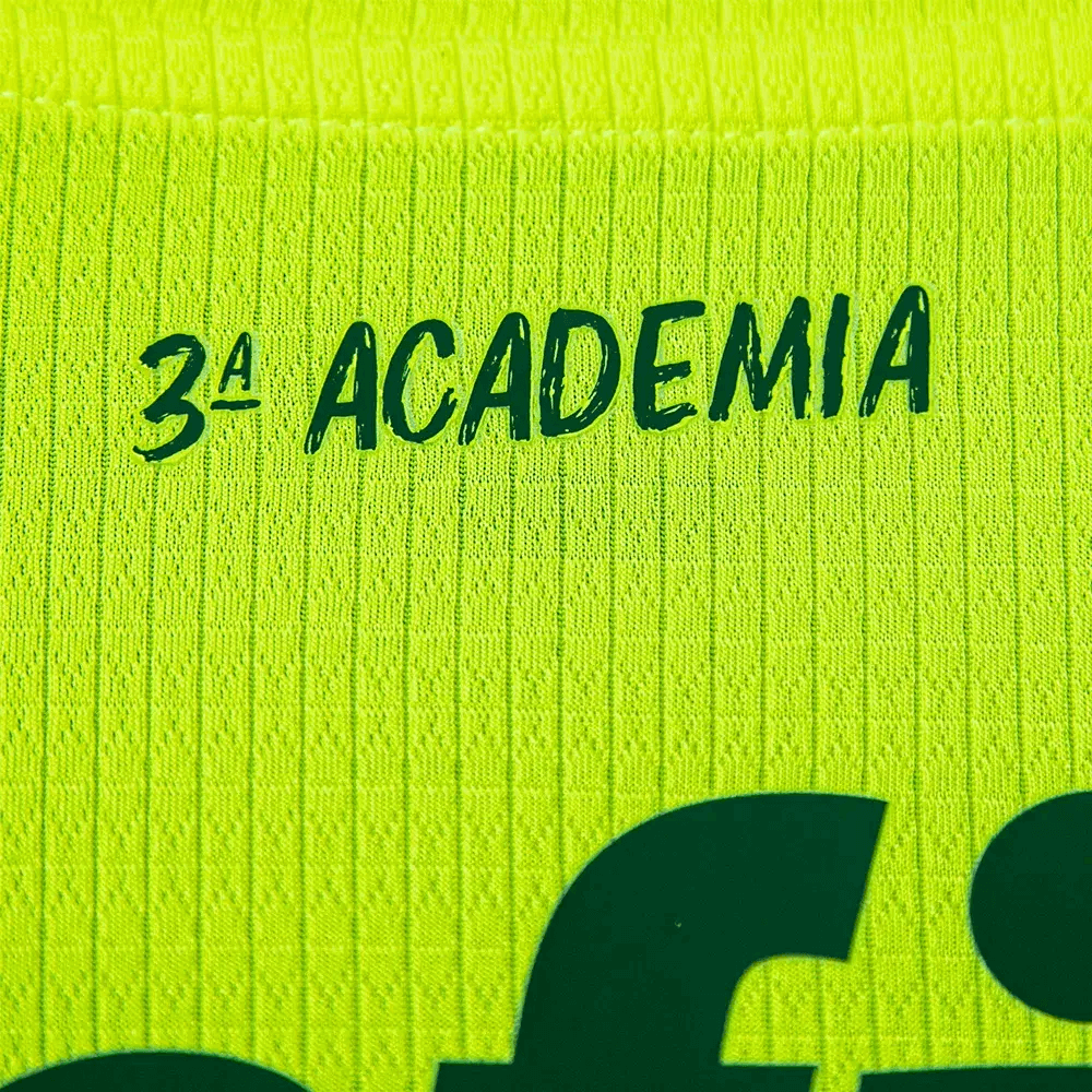 Camiseta Palmeiras third 2023/24