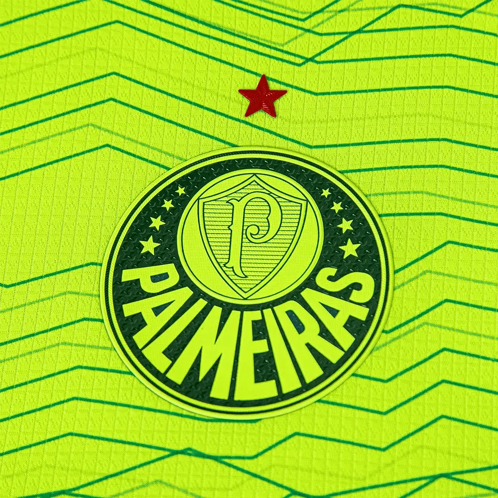 Camiseta Palmeiras third 2023/24