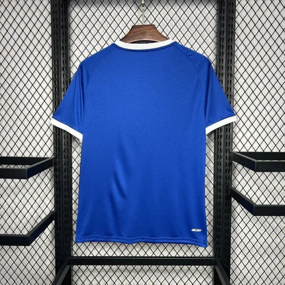 Camiseta Cardiff City Home 2024/25