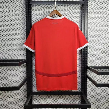 Camiseta Áustria Home 2024