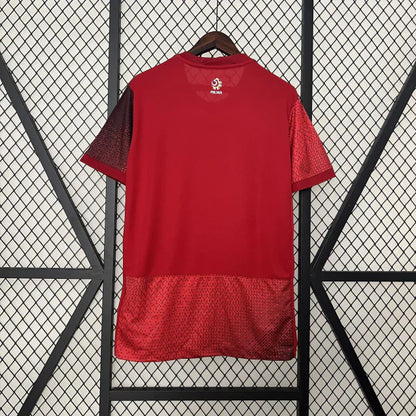 Camiseta Polonia Away 2024