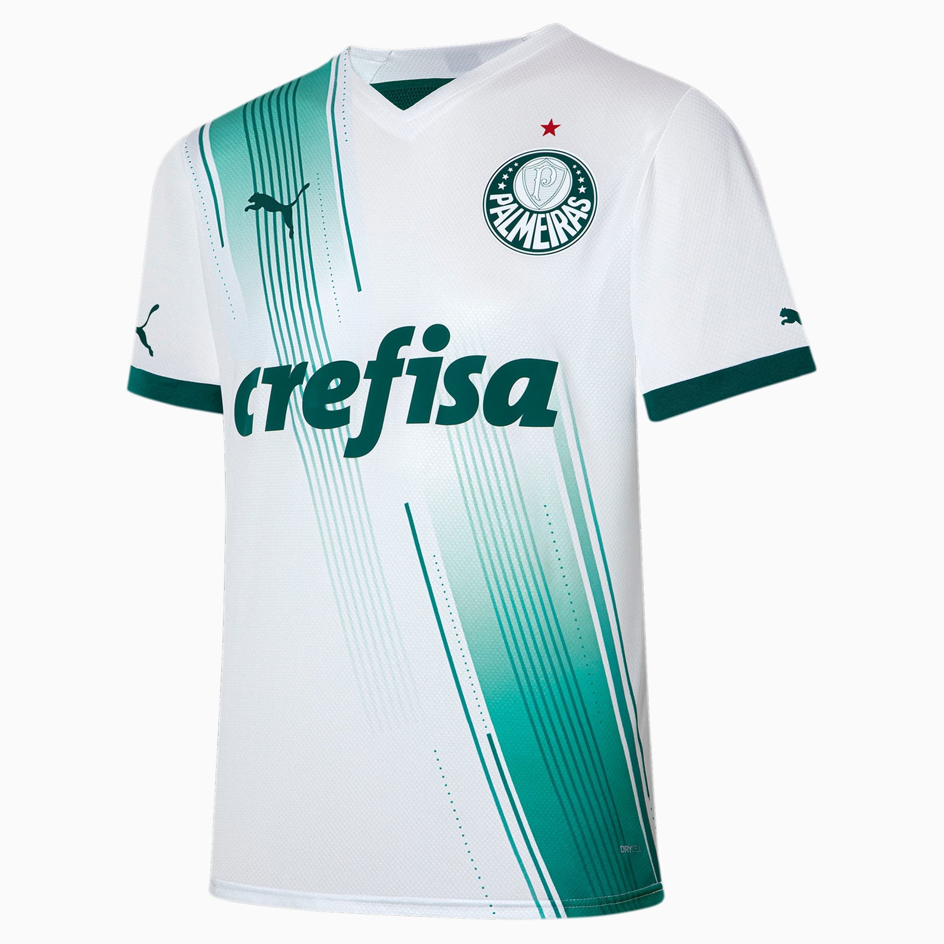 Camiseta Palmeiras 2023/24 Away